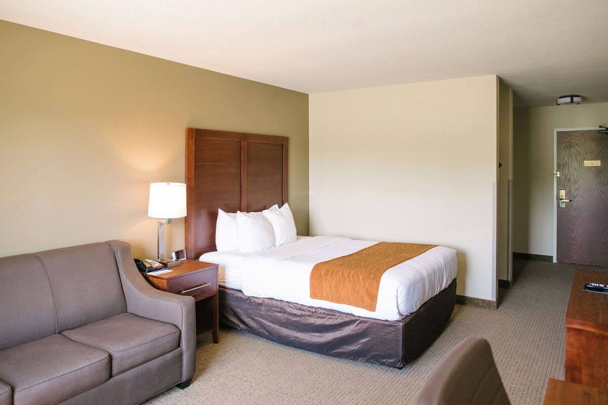 A hotel room with a bed, a sofa, a nightstand, a lamp, and a desk.