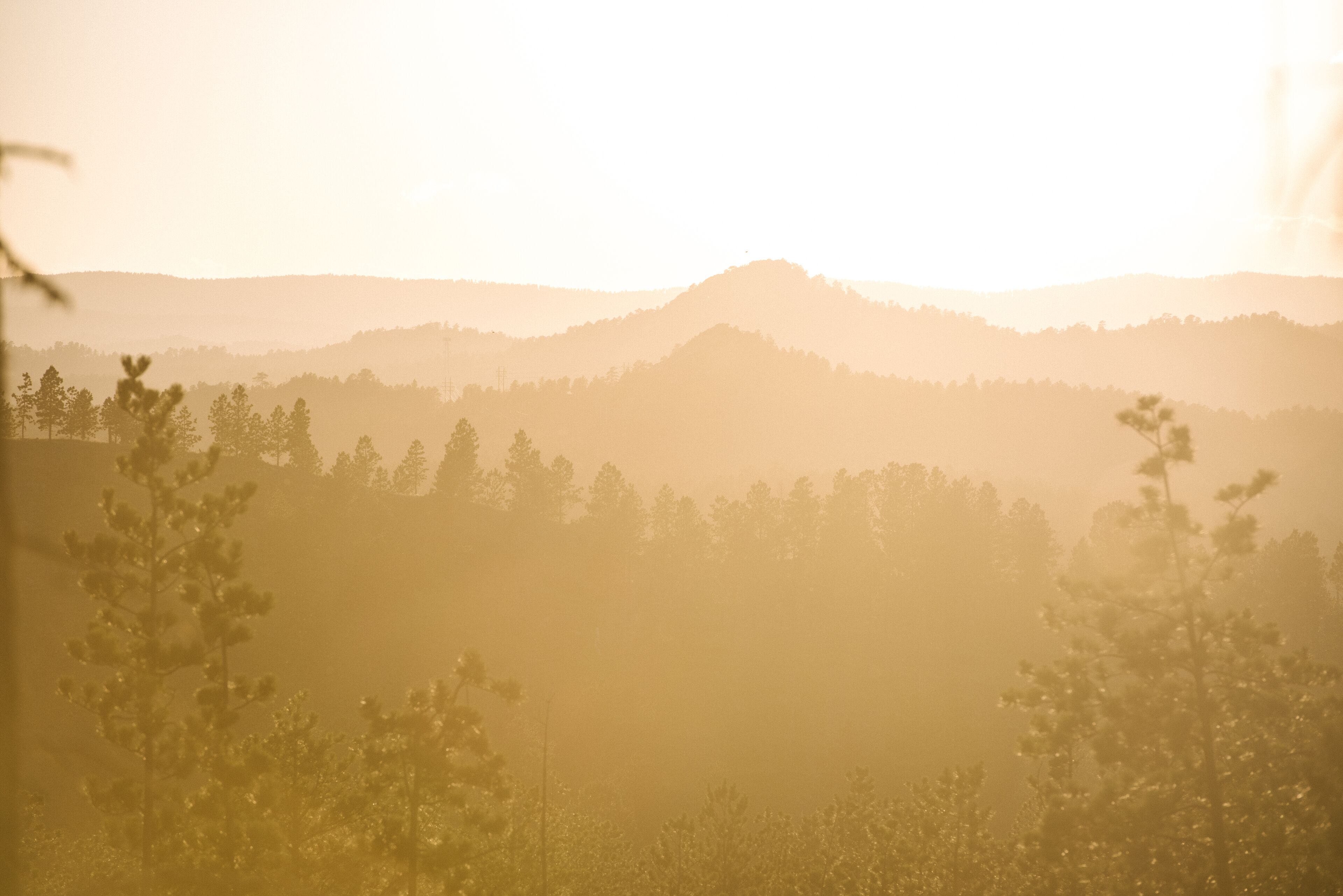 standard room, 2 queen beds, non smoking | mountain view