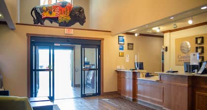 Comfort Inn And Suites Custer