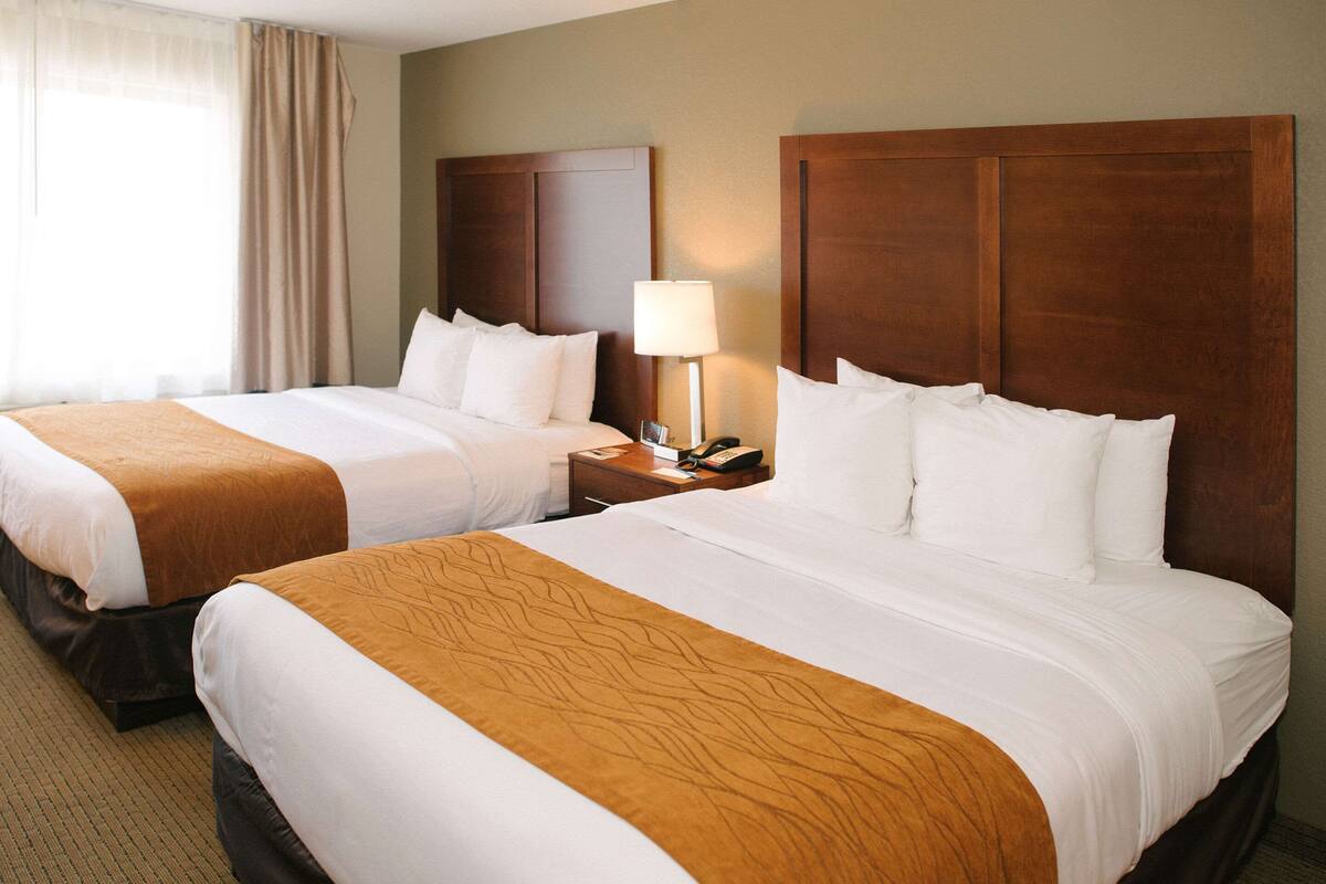 A hotel room with two beds, each with a wooden headboard, white bedding, and a brown accent. There is a nightstand with a lamp and a telephone.