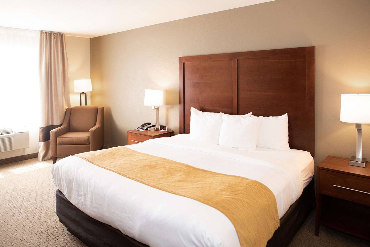 A hotel room with a large bed, a chair, a nightstand, and a lamp.