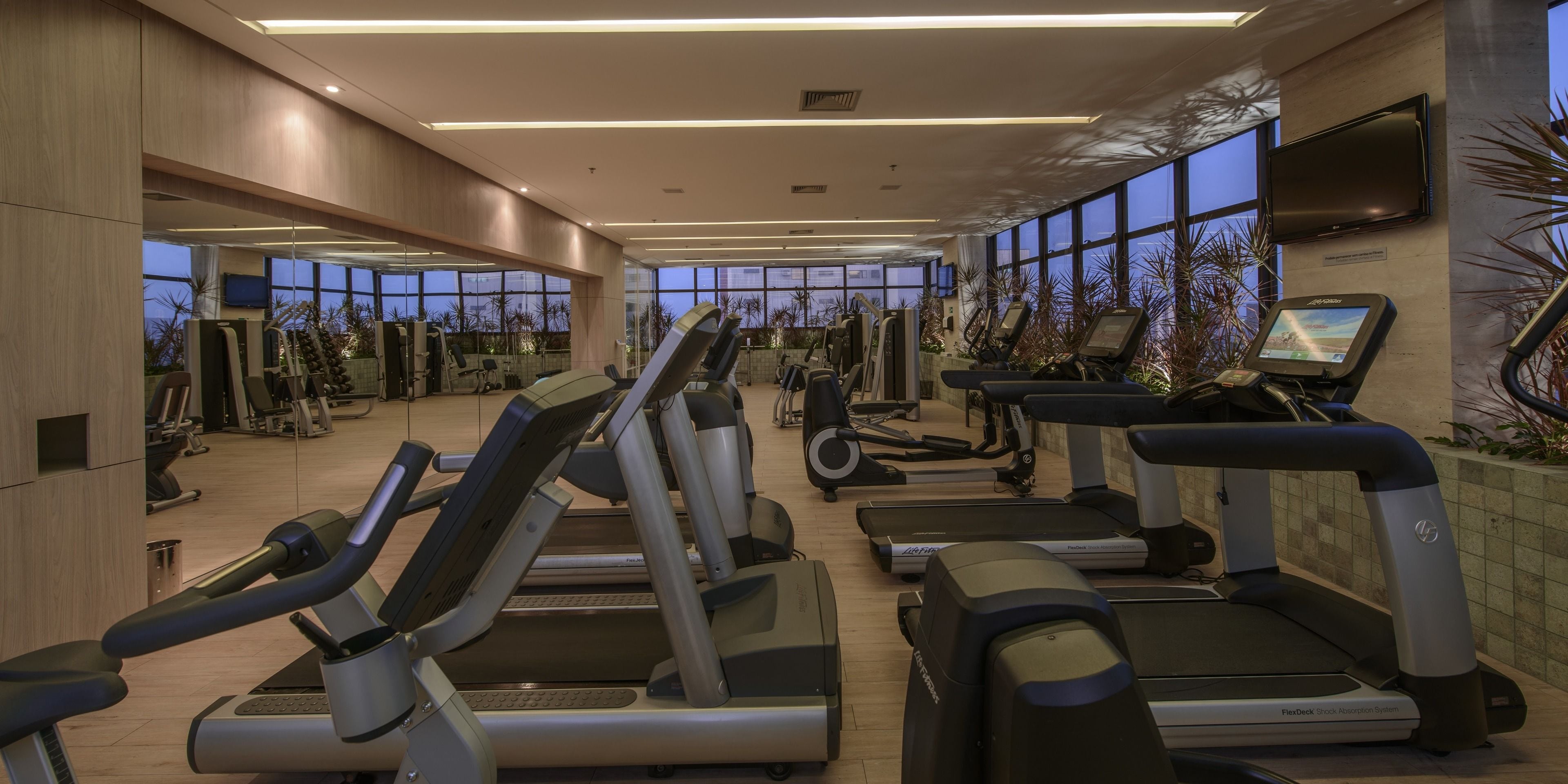 A modern gym with various cardio machines, a large window providing natural light, and a flat-screen TV mounted on the wall.