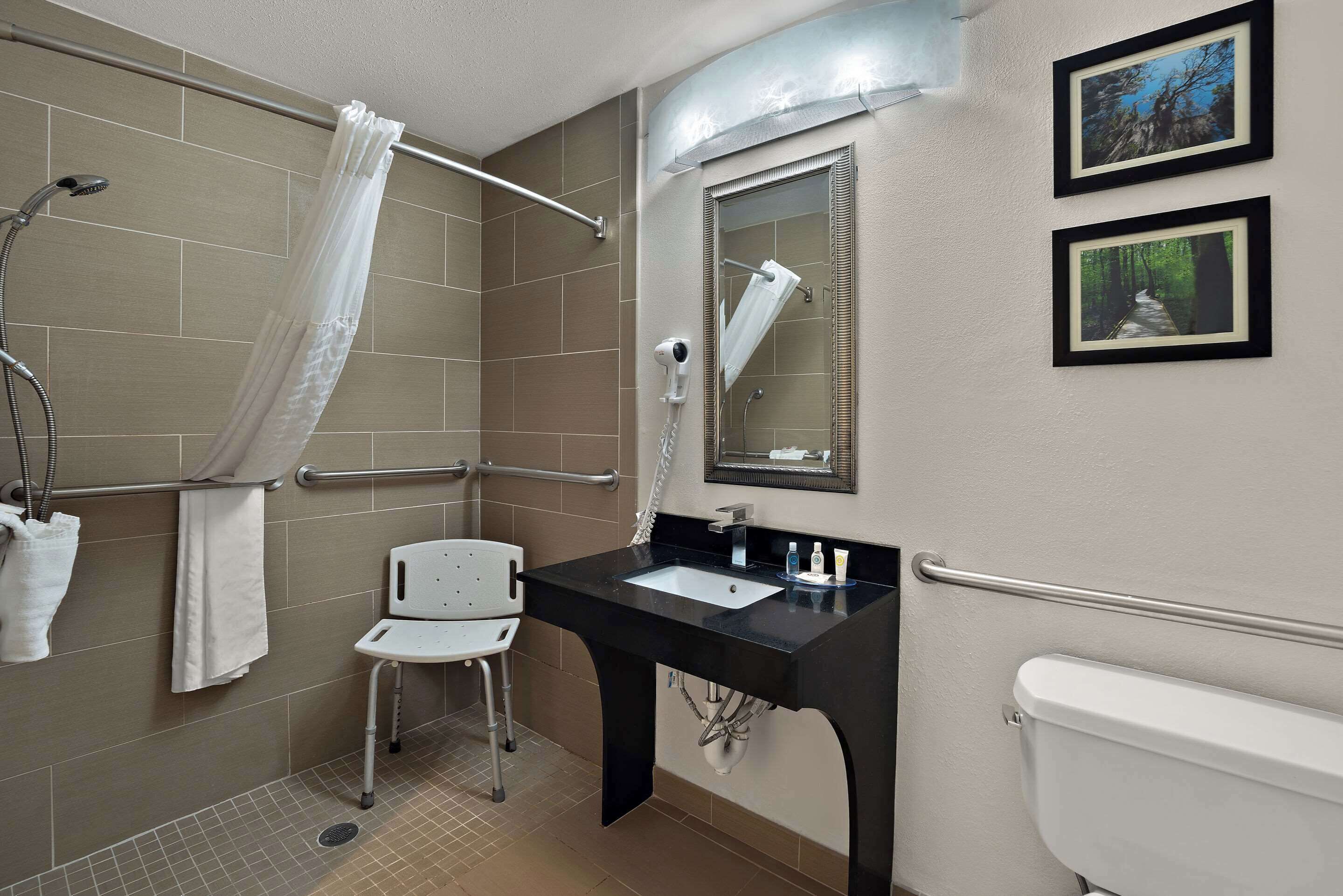 A bathroom with a shower, a white toilet, a sink with a black countertop, a mirror, and two framed pictures on the wall.