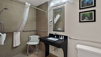A bathroom with a shower, a white toilet, a sink with a black countertop, a mirror, and two framed pictures on the wall.