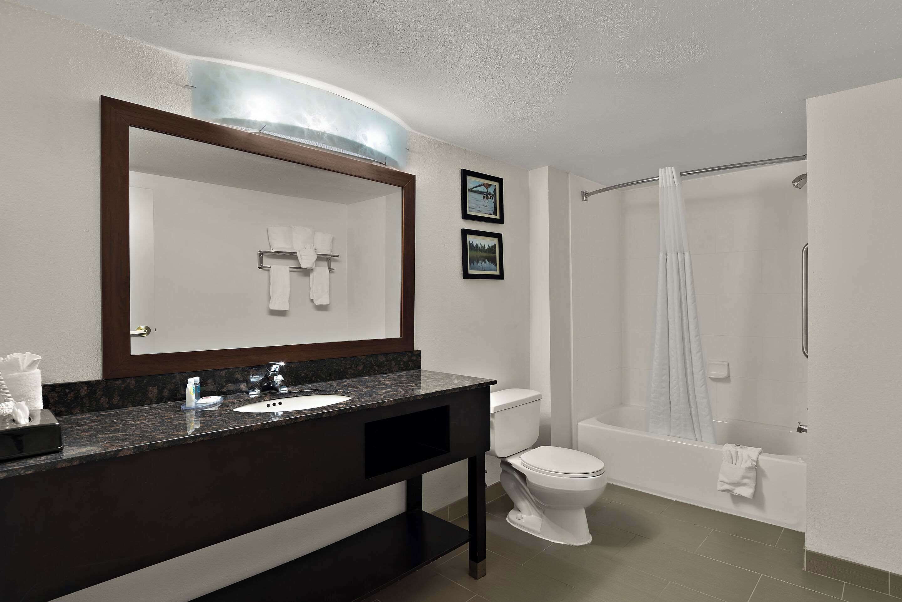 Suite, 1 Queen Bed with Sofa bed, Non Smoking (Non Smoking/Interior Hall)