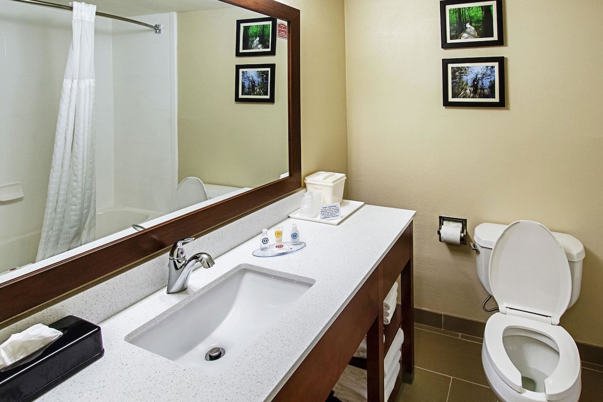 Un baño con lavamanos, espejo, inodoro y cuadros en la pared.