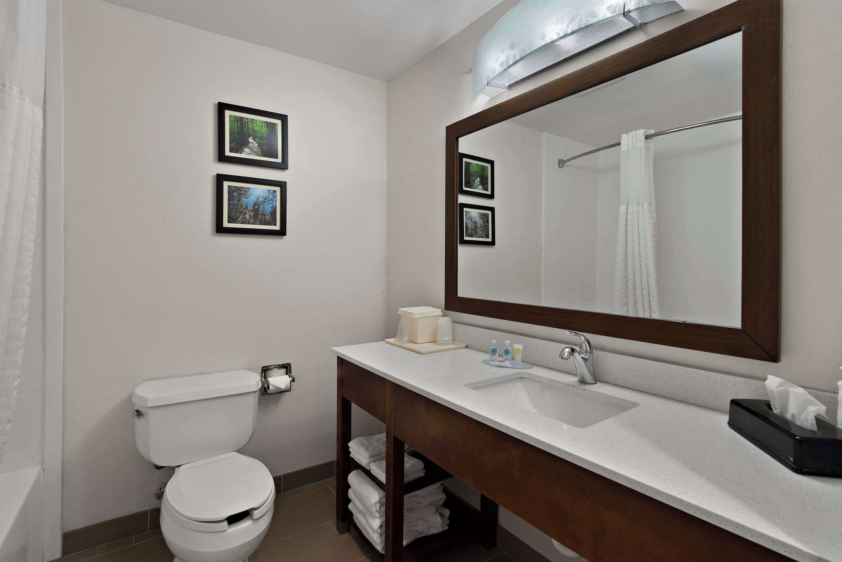 A bathroom with a white toilet, a sink with a mirror, and two framed pictures on the wall.