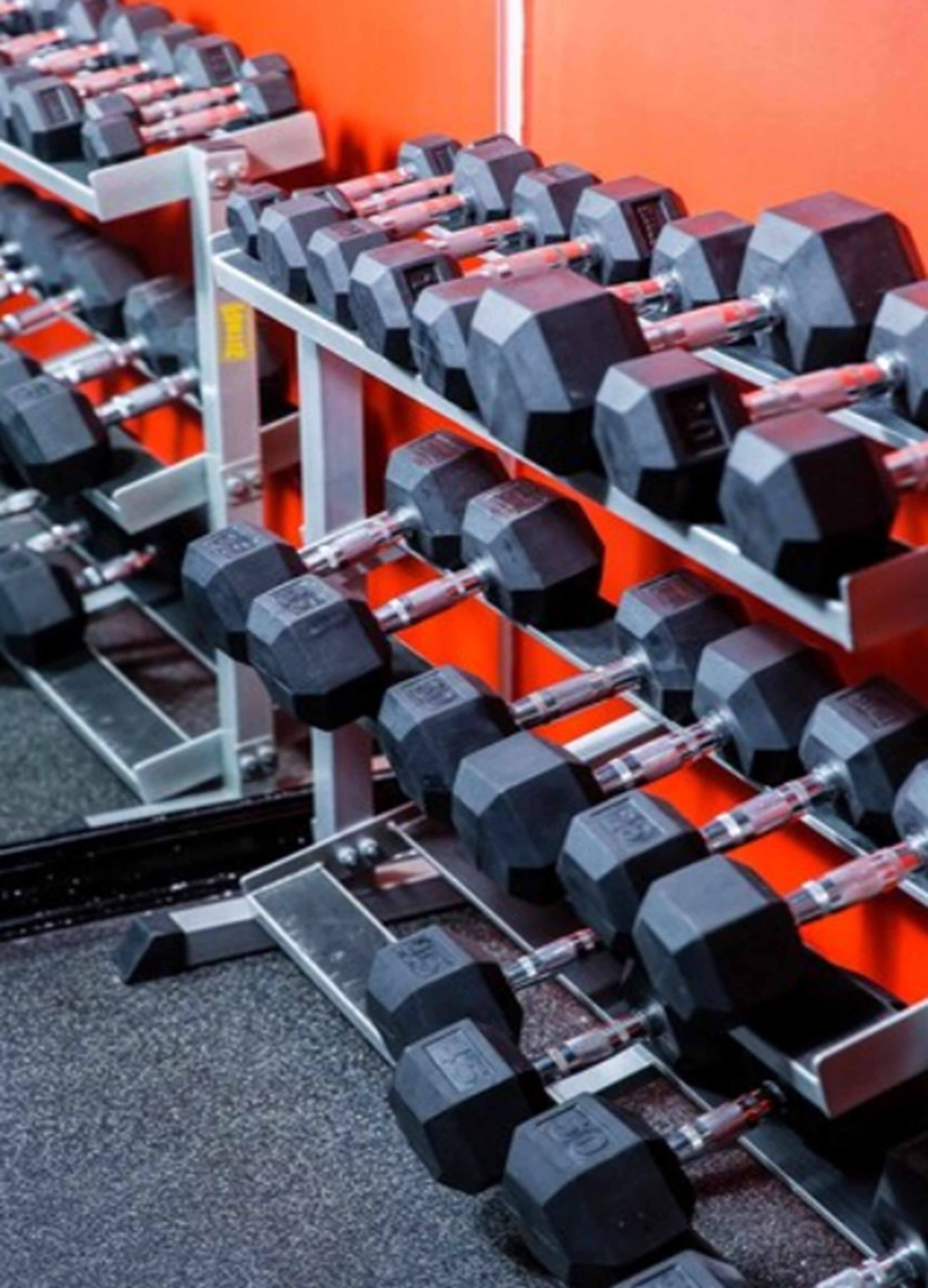 En række sorte håndvægte på et stativ i et fitnesscenter.