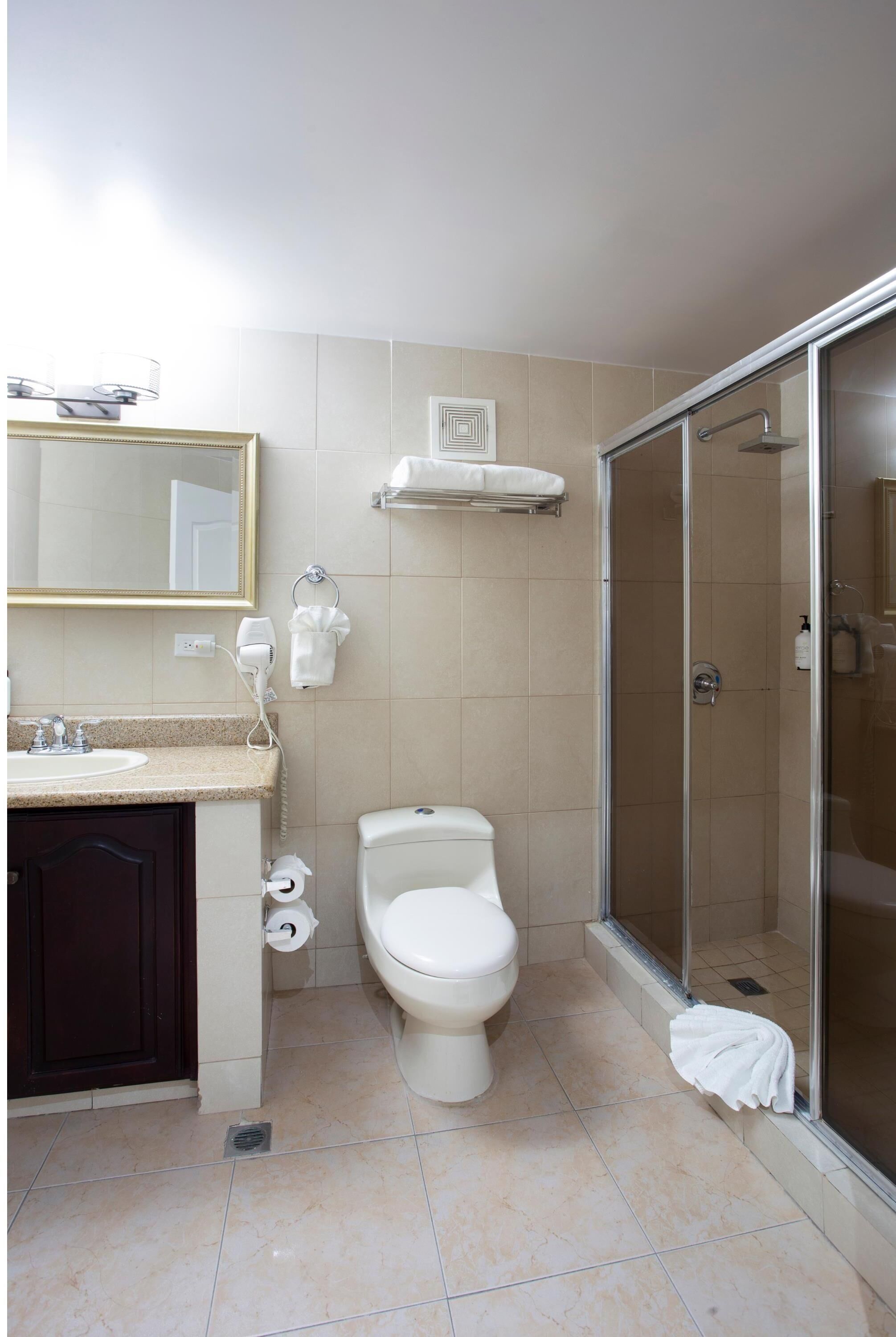 A bathroom with a toilet, sink, mirror, and shower.