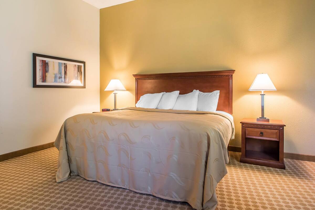Room, 1 King Bed, Non Smoking