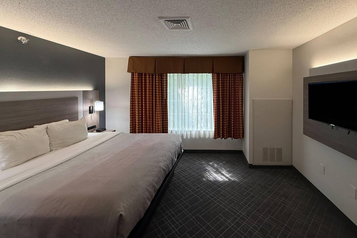 Suite, 1 King Bed with Sofa bed, Non Smoking