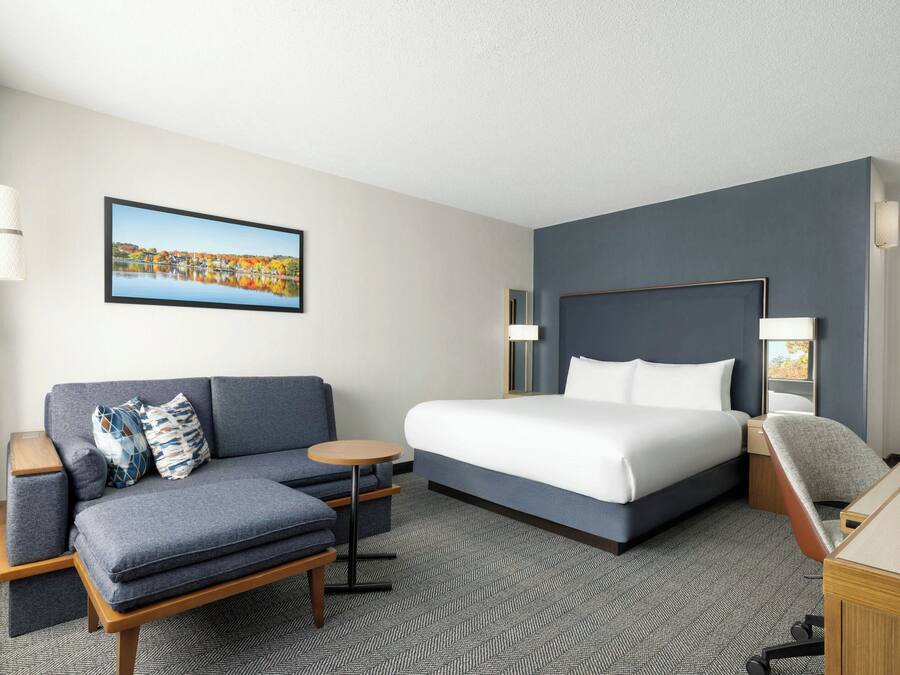 A hotel room with a bed, a sofa, a desk, and a chair.
