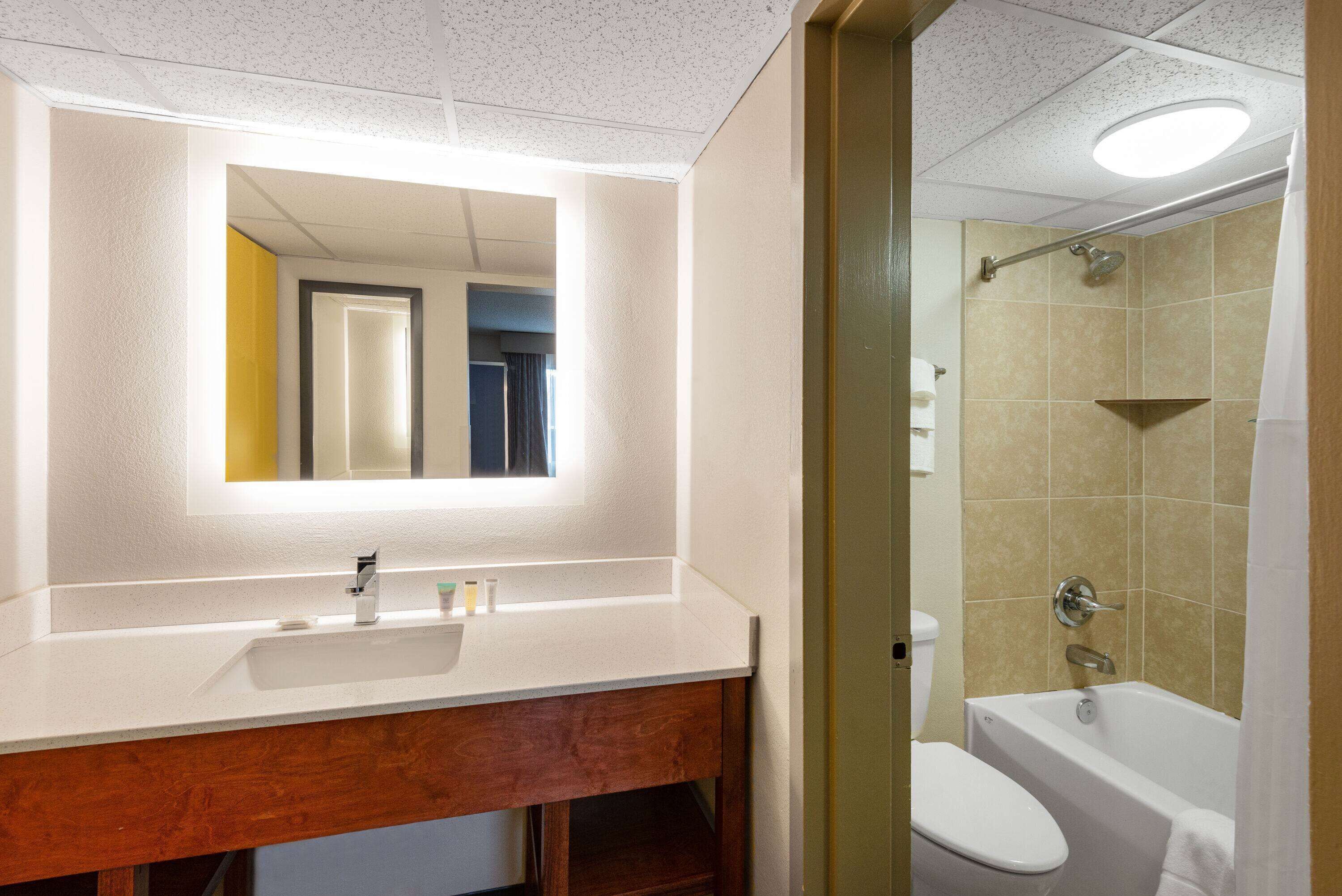 A bathroom with a white sink, mirror, and a shower area.