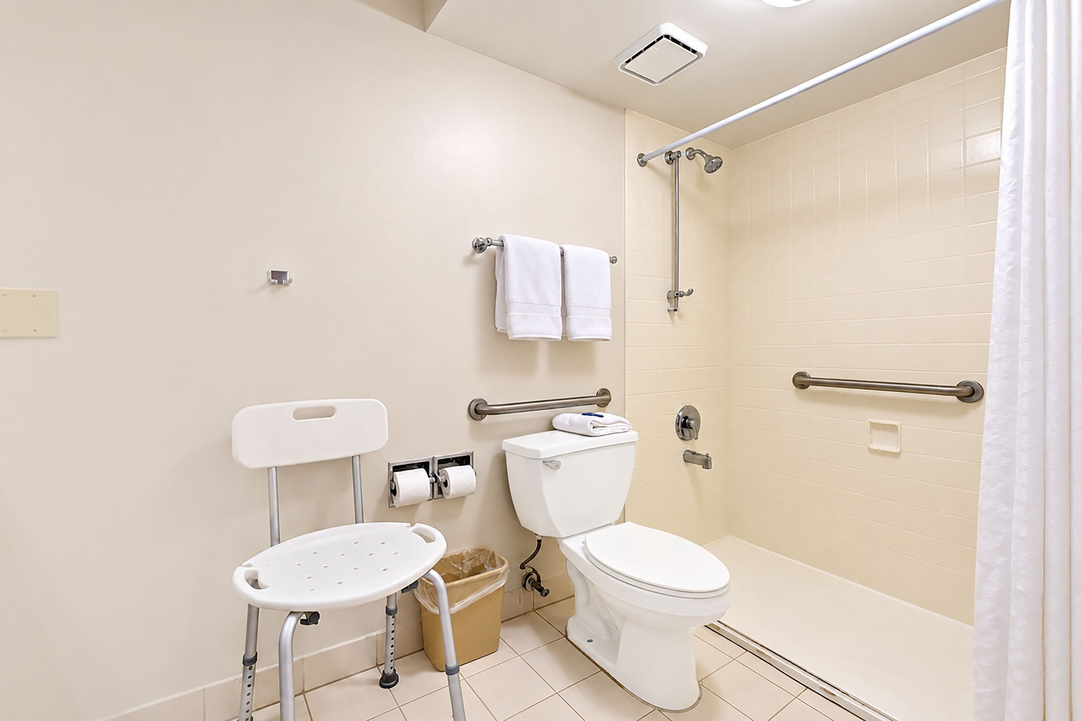 Baño con inodoro, ducha y barra de apoyo.