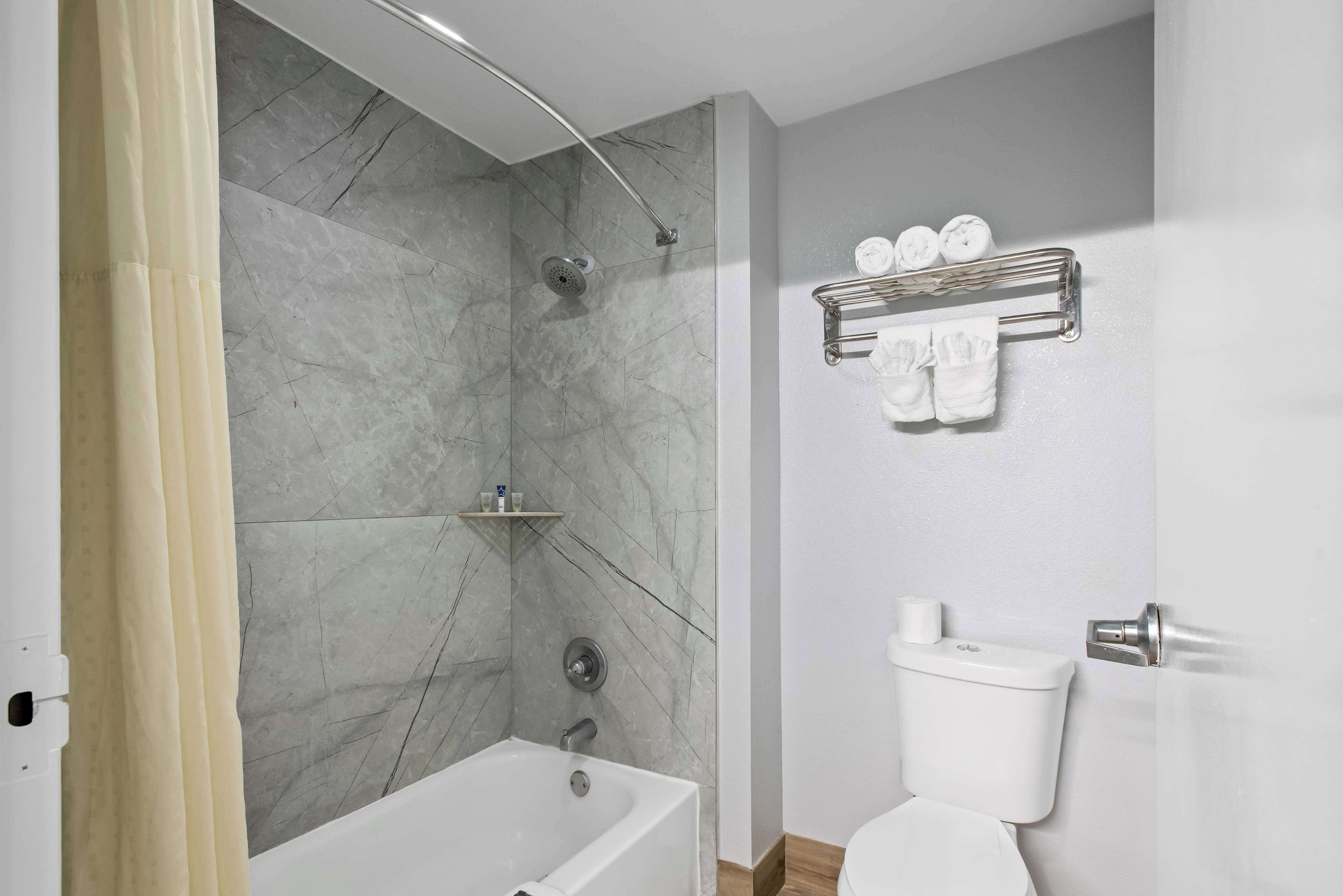 Suite, 1 King Bed, Non Smoking (Deluxe) | Bathroom