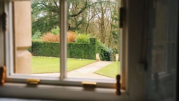 A view through a window of a garden with a pathway, hedges, and trees.