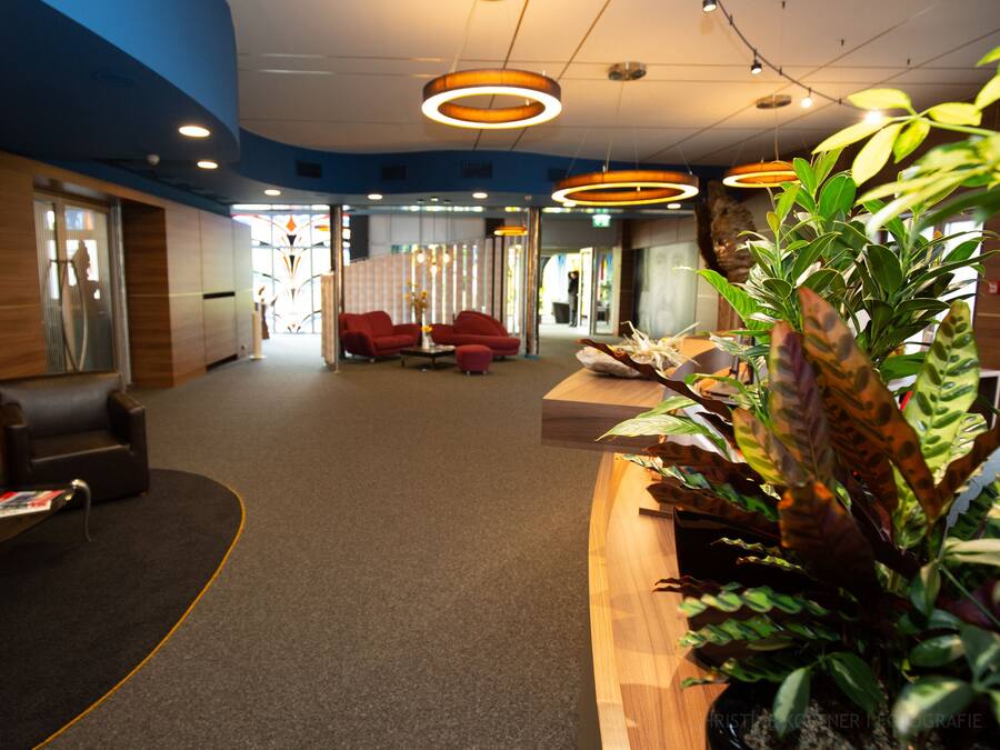 A modern lobby with a curved reception desk, seating area, and a large plant.