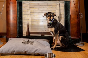 30-inch TV with satellite channels