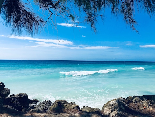 Nära stranden, vit sandstrand, solstolar och parasoller