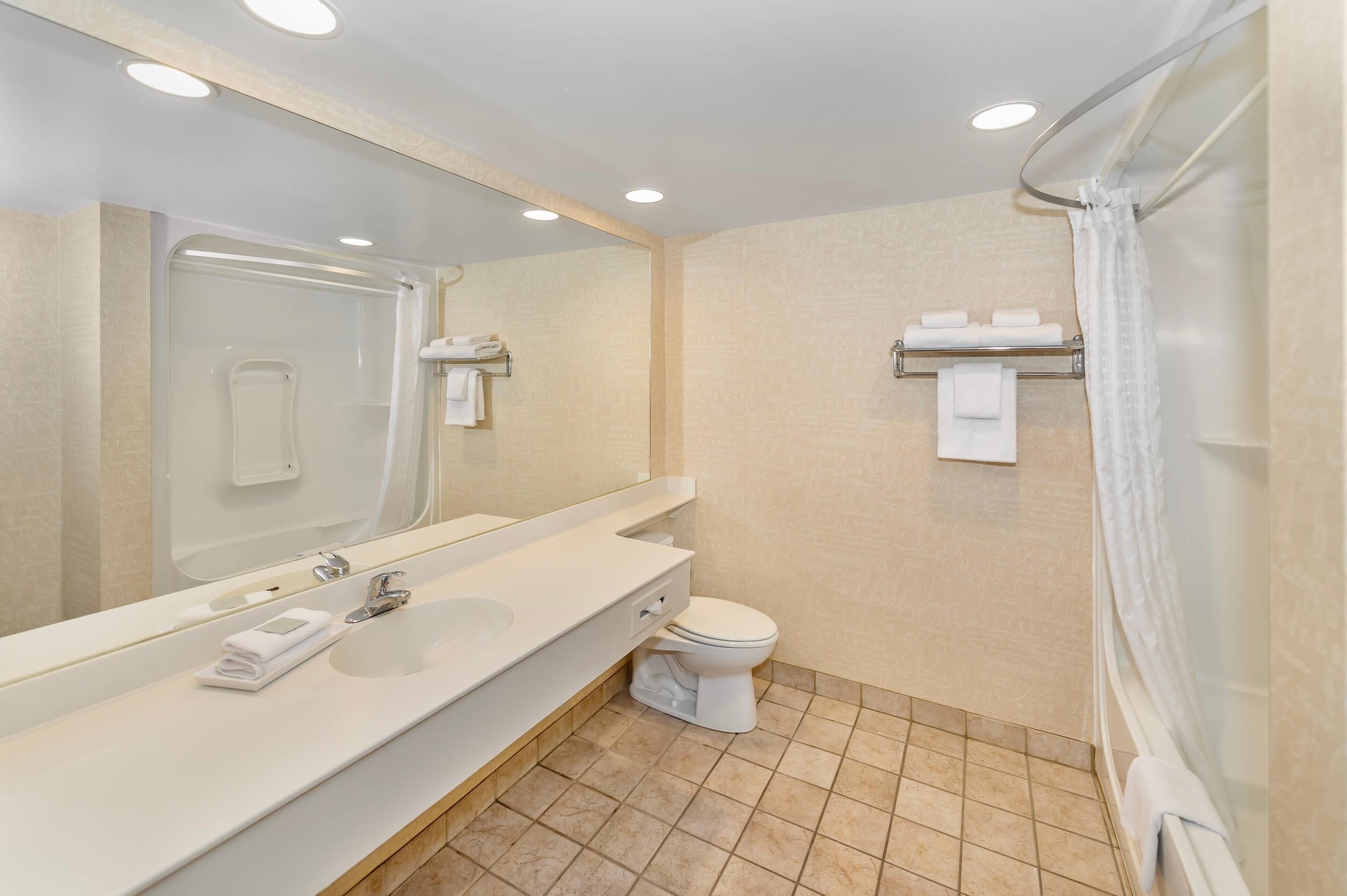 Un baño con lavamanos, espejo, inodoro y ducha.