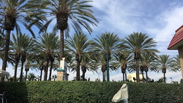 室外游泳池,09:00 至 21:00 开放,日光浴躺椅