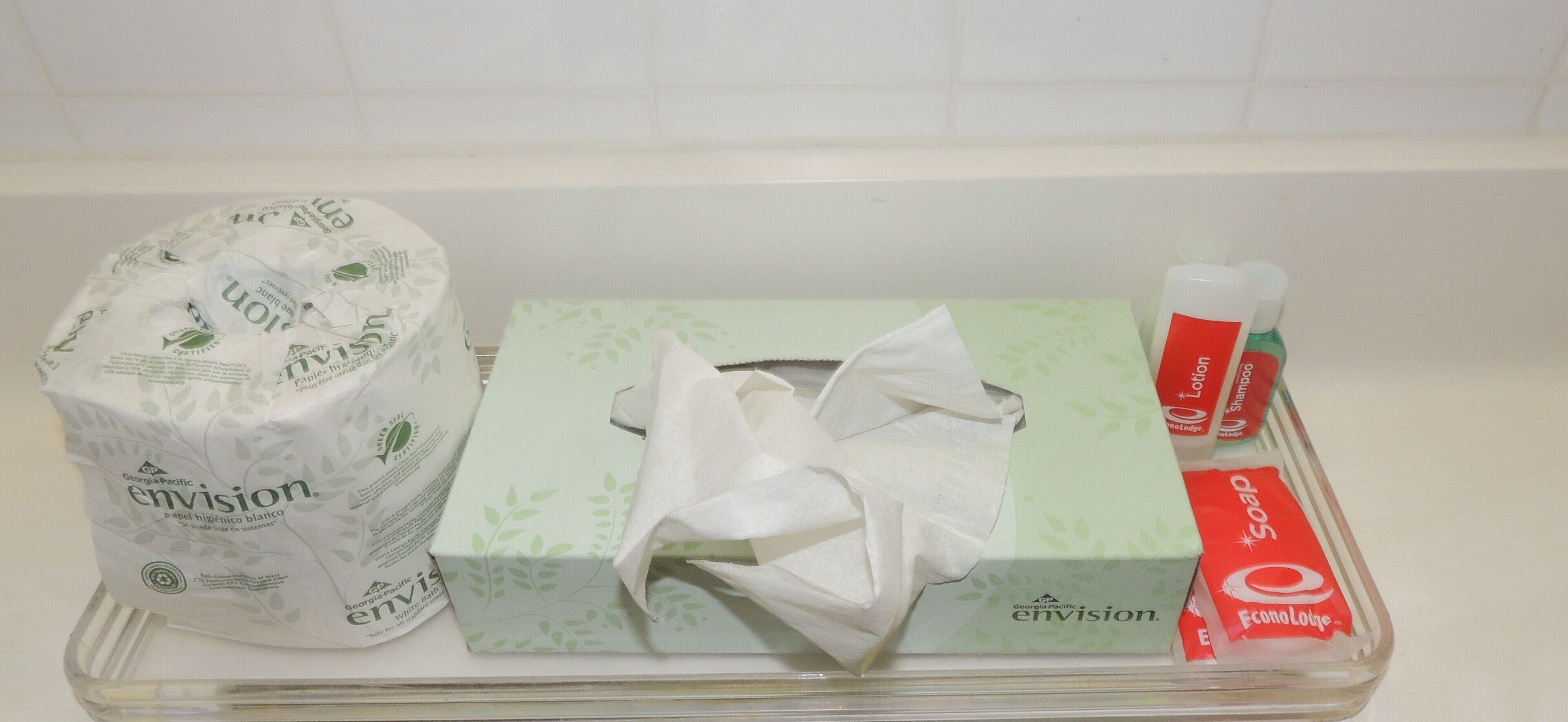 Foto - Econo Lodge Dewitt I-90