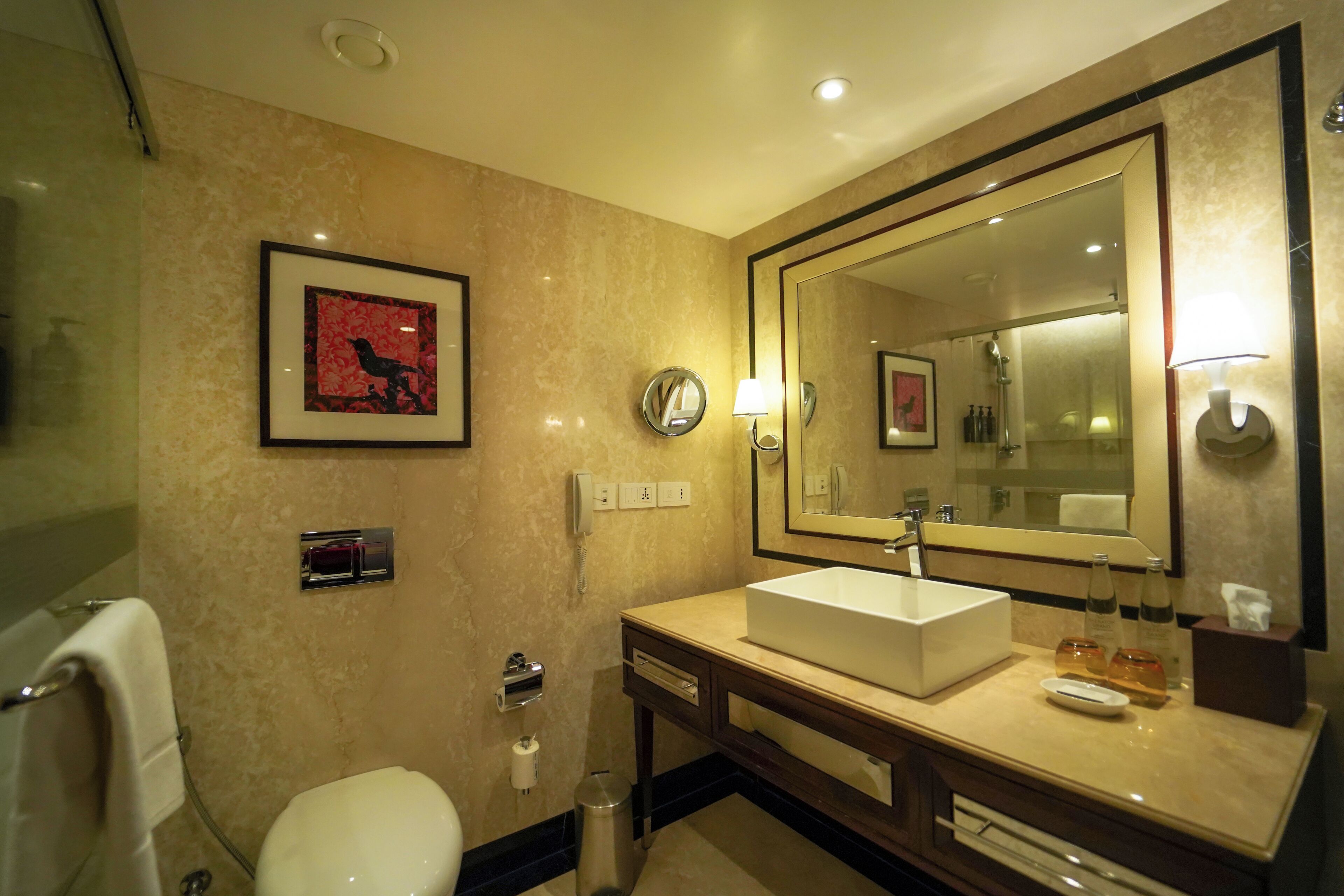 Foto - Sheraton Grand Pune Bund Garden Hotel