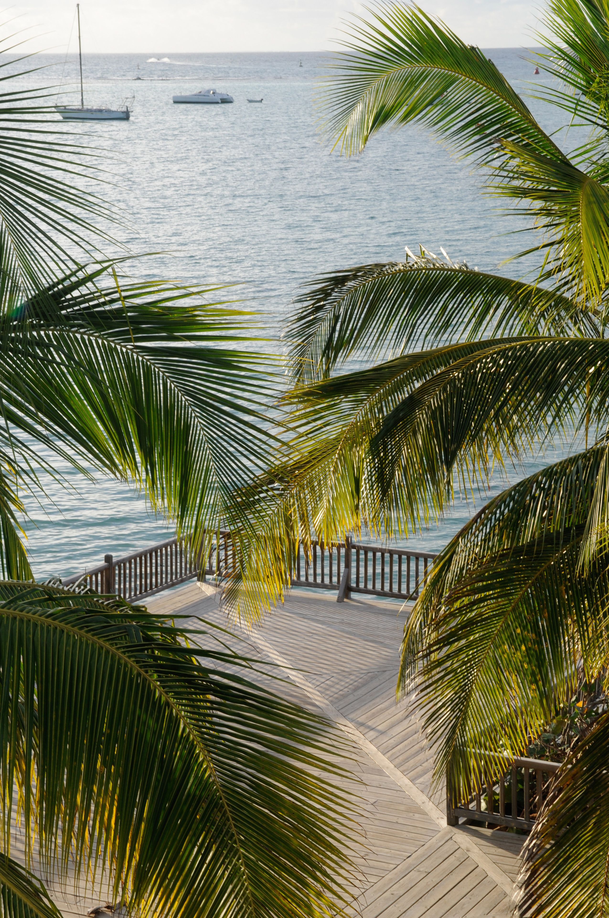 Vista desde la propiedad
