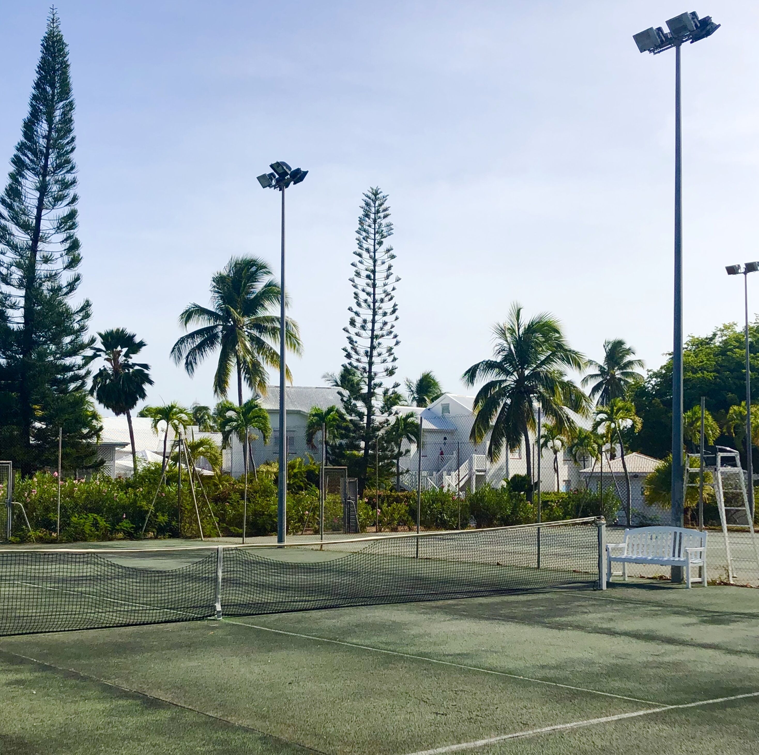 A tennis court with a net, surrounded by palm trees and a building in the background.