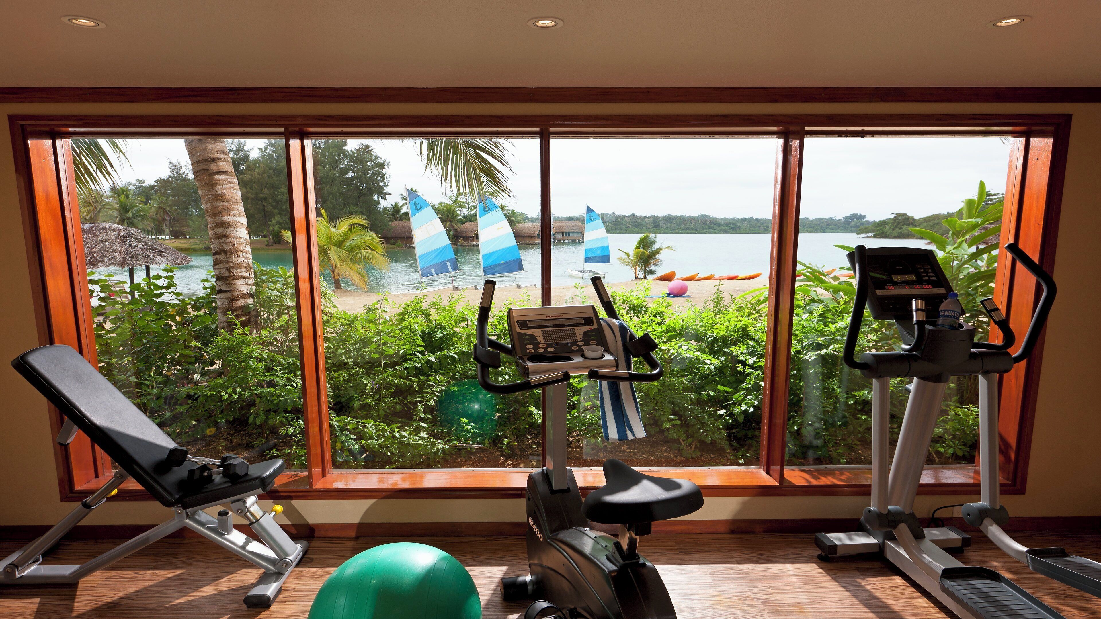 Ein Fitnessraum mit Trainingsgeräten und Blick auf einen Strand und Palmen.