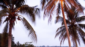 A beachside wedding setup with tables and chairs arranged on the sand, palm trees, and a thatched gazebo by the water. - Holiday Inn Resort Vanuatu by IHG (Port Vila)