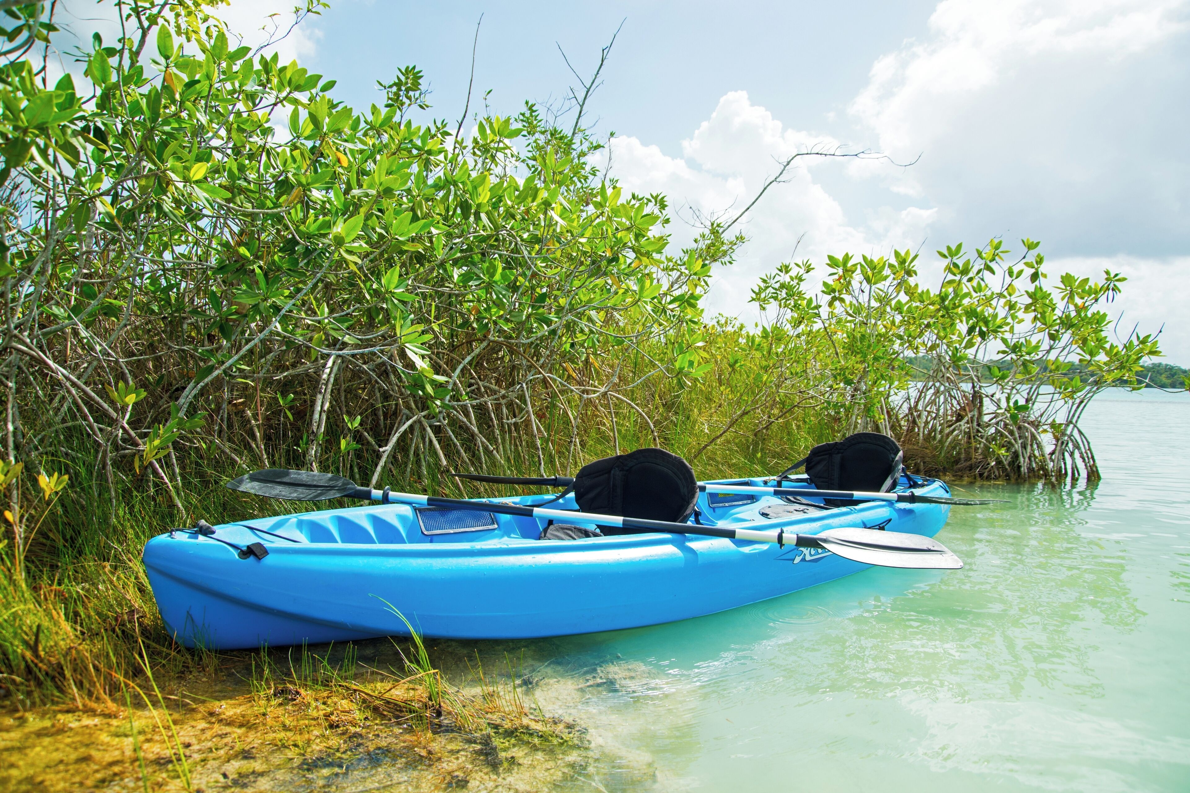 A blue kayak with a paddle and a black bag, resting on a grassy shore near water.
