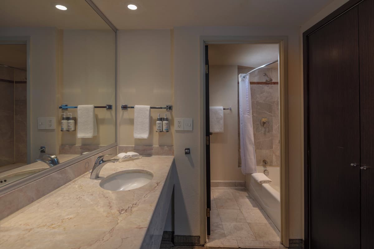 separate bathtub and shower, free toiletries, hair dryer, towels