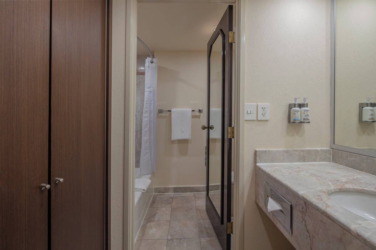 separate bathtub and shower, free toiletries, hair dryer, towels