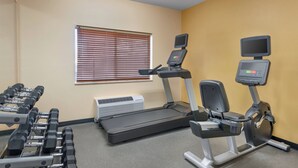Un gimnasio con cintas de correr, mancuernas y una bicicleta estática.