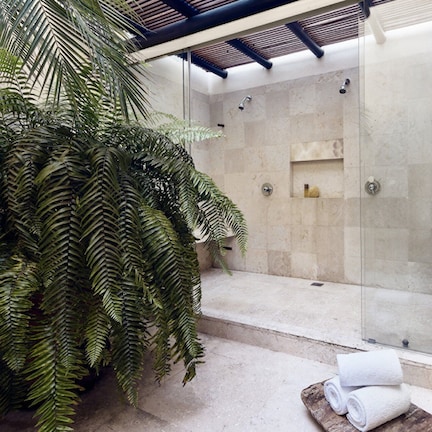 A modern bathroom with a glass-enclosed shower, a wooden bench, and a large fern plant.