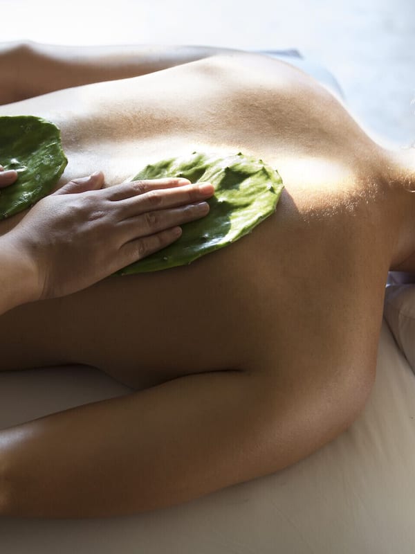 Hot tub, steam room, body treatments, aromatherapy, hot stone massages