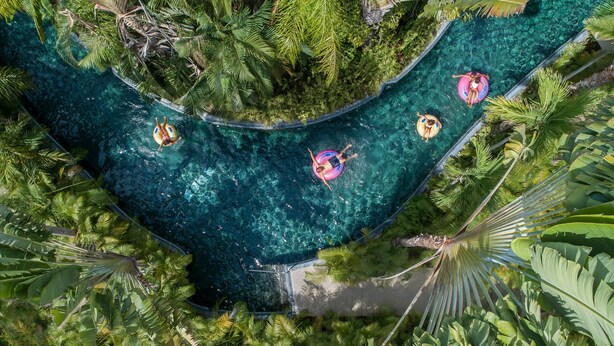 Vista aérea de una piscina rodeada de exuberante vegetación tropical.