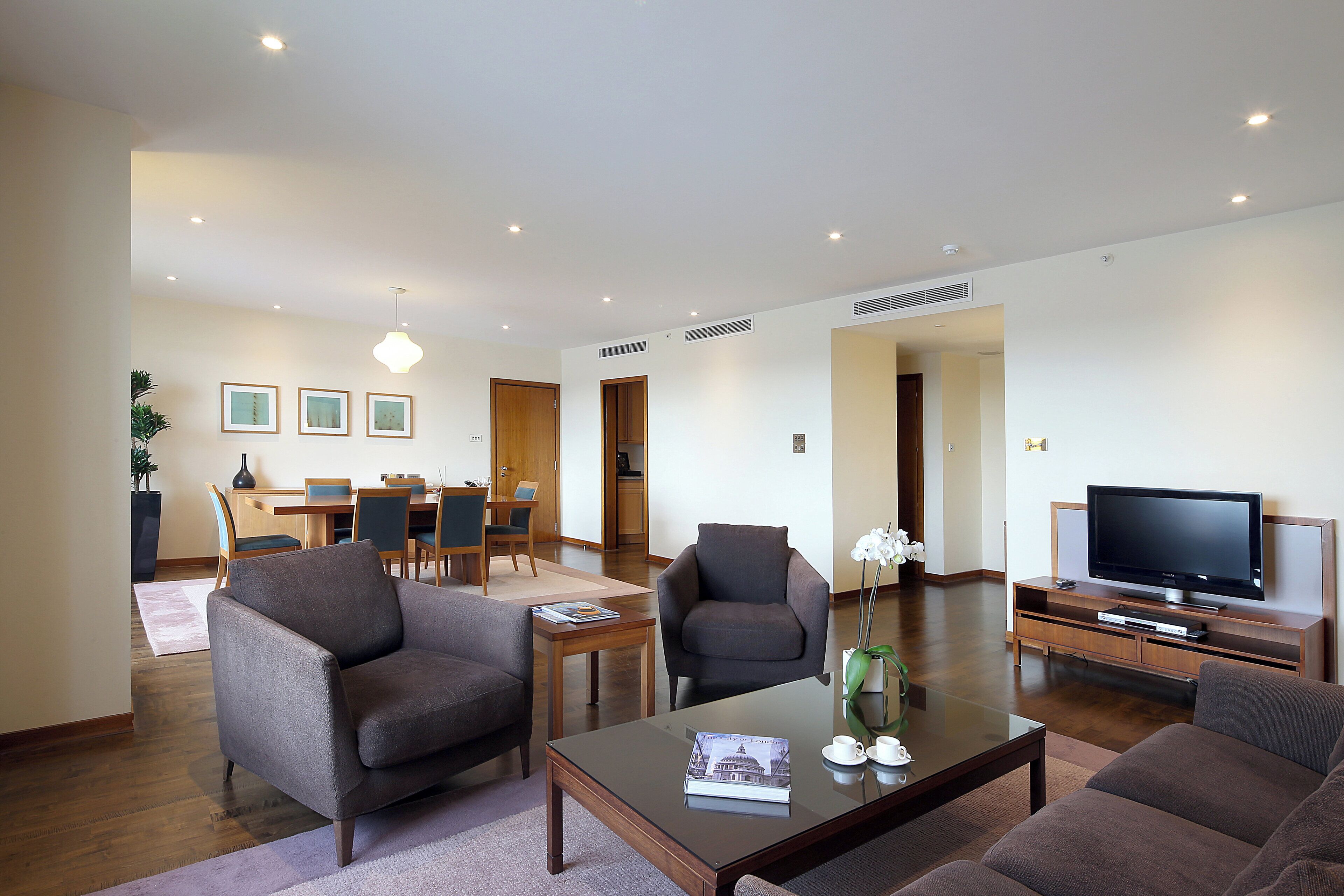 A modern living room with a flat-screen TV, two sofas, a coffee table, and a dining area with a wooden table and chairs.