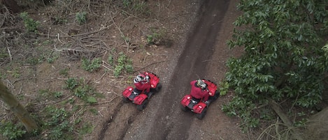 Dos cuatrimotos rojas en un camino de tierra rodeadas de vegetación densa.