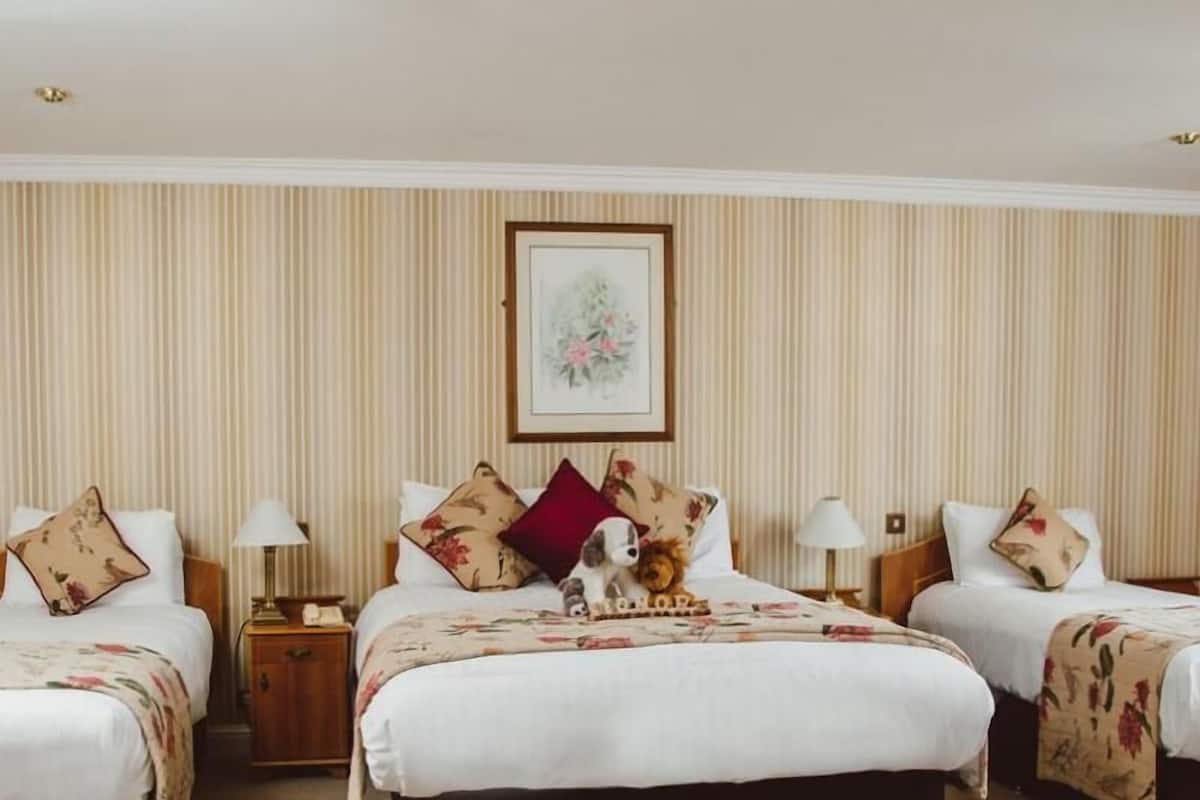 family room (new) | hypo-allergenic bedding, individually decorated, individually furnished