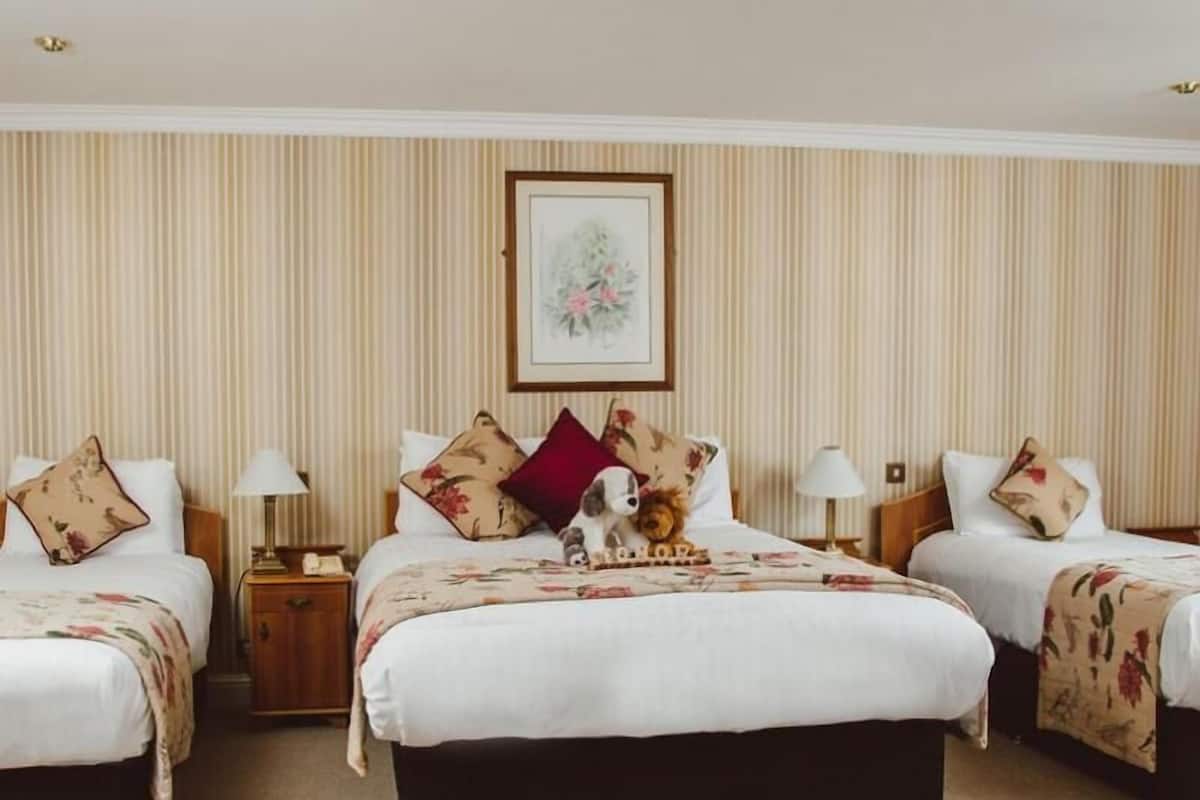 Habitación familiar (new) | Ropa de cama hipoalergénica y decoración personalizada