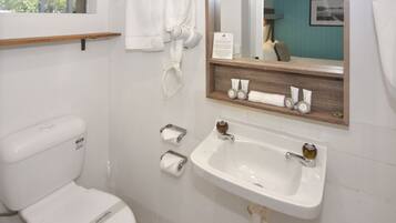 A bathroom with a toilet, a sink, a hairdryer, and a mirror.