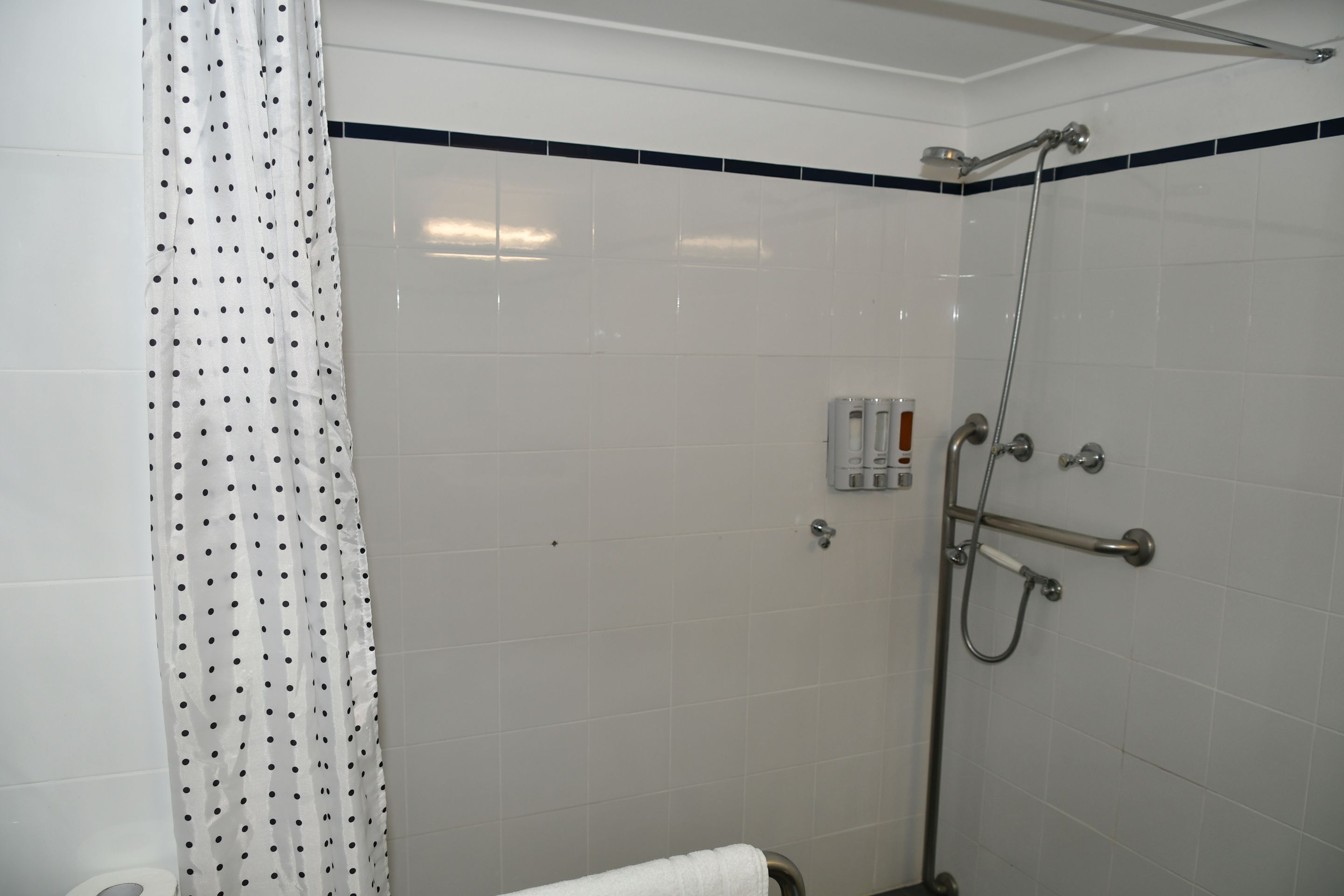 Eine Dusche mit Duschbrause, Handbrause und Wandarmatur.