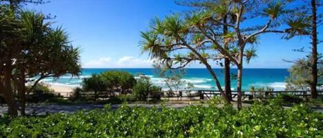 Vista costera con playa, palmeras y cielo despejado.