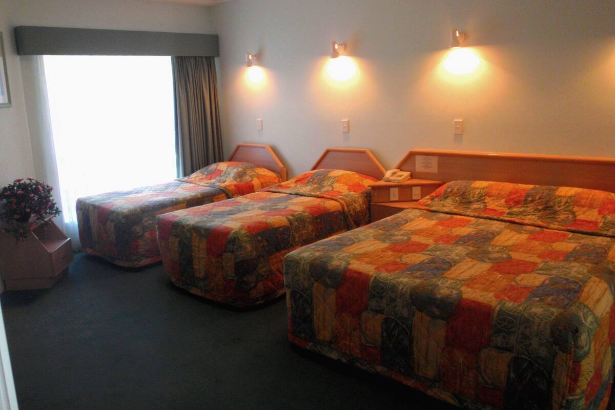 Habitación de hotel con dos camas individuales, una mesita y una planta en maceta.