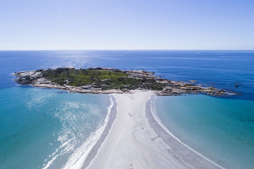 Diamond Island Resort & Penguin viewing