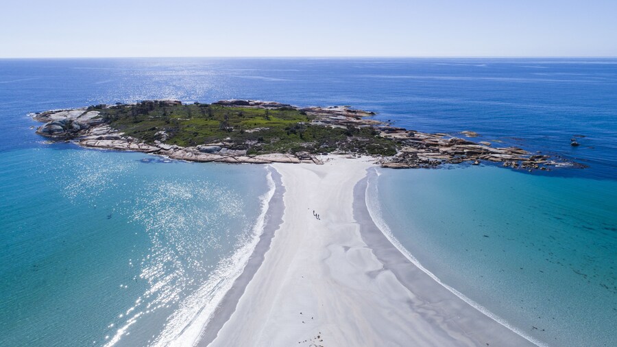 Diamond Island Resort & Penguin viewing