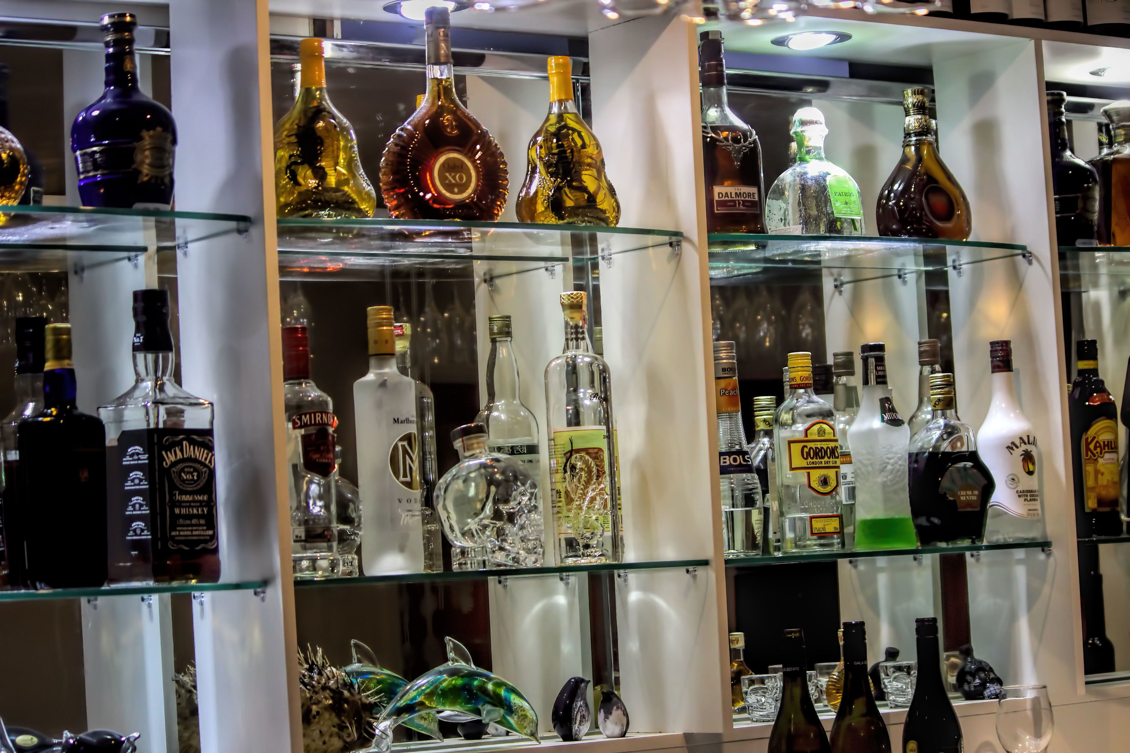 Uma loja de bebidas com prateleiras cheias de garrafas variadas.