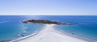 Diamond Island Resort & Penguin viewing